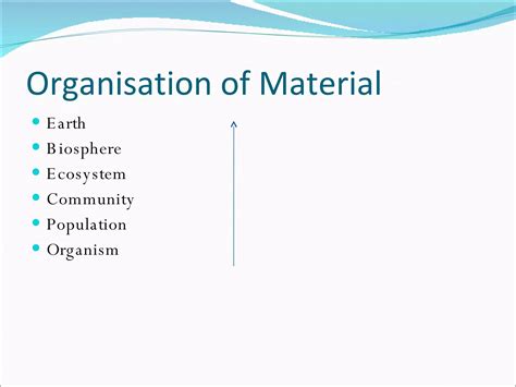 Image result for Ecosystem Structure Model