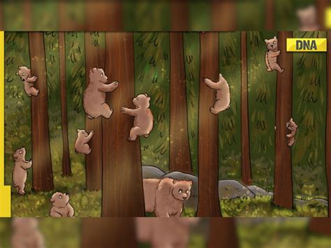 Optical Illusion: Can you find the koala hidden among the bears