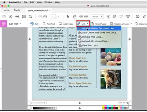Image result for Adobe Pro PDF Editor
