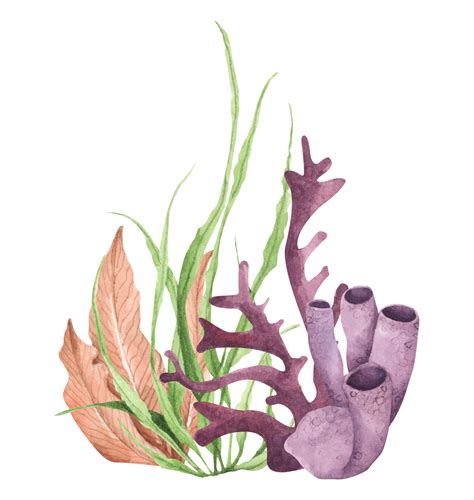 Underwater Ocean Plants