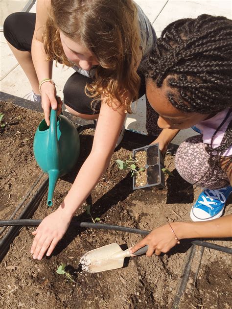 Outreach Spotlight: Seasonal Garden Planting at Springdale Park ...