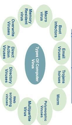 draw a chart depicting various types of virus - Brainly.in