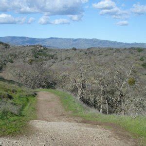 Random Thread Pics 的图像结果