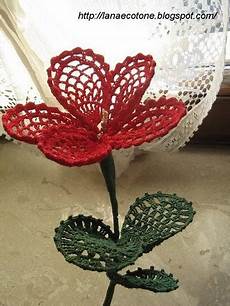 fiore con s questo fiore e davvero bellissimo fiore con s questo fiore e davvero bellissimo