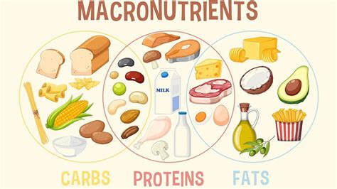 Image result for Macronutrients Basic Structure