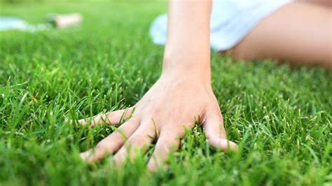 Touching Grass Tutorial 的图像结果