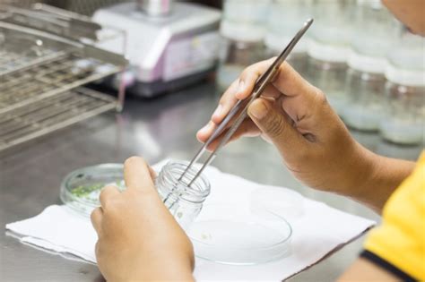 Plant Biotechnology 的图像结果