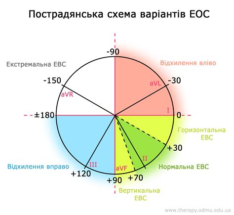 Онлайн-курс ЕКГ: визначення ЕОС - електричної осі серця