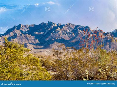 Little Florida Mountains at Rockhound State Park Stock Photo - Image of ...