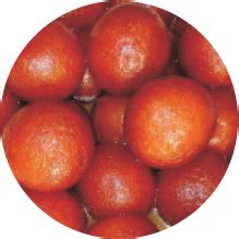 NDMI Renewable Energy Private Limited