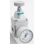 Precision Regulator Air-Saving Type RPE Series | CKD | MISUMI India