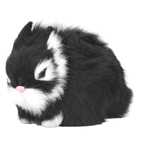 Black And White Rabbits