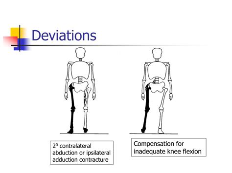 Image result for Contralateral Gait
