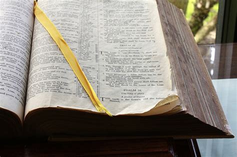 Scripture Loop 的图像结果