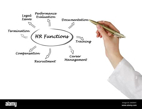 HR Function Definition 的图像结果