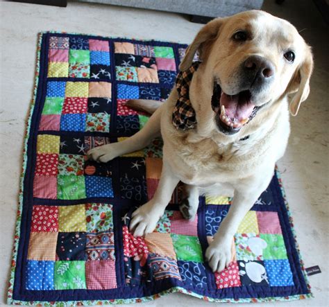 Buy dog crate mats online in India l Lana Paws