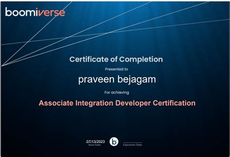 Image result for Boomi Associate Integration Developer