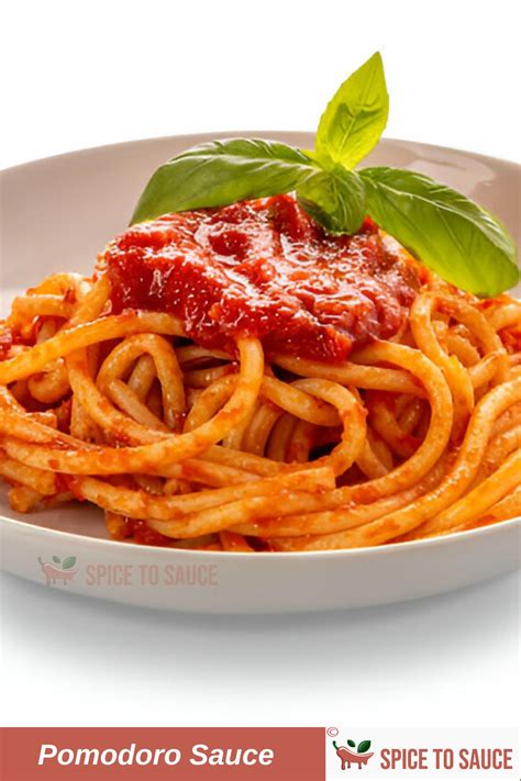 Homemade Pomodoro Sauce Recipe | Journey to be an Expert of Italian Cuisine