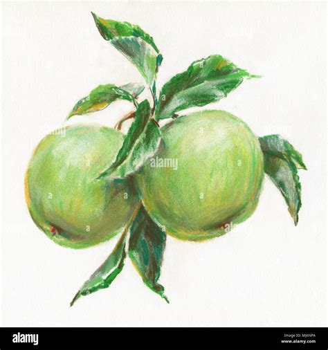 Still life with apples Stock Photo - Alamy