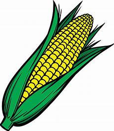 Corn On The Cob Clipart by Best Corn On The Cob Illustrations Royalty Free Vector Corn On The Cob Clipart