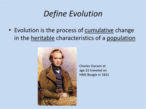 Define Evolution 的图像结果