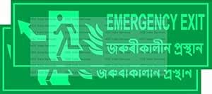 HSE India Services Emergency exit Night Glow Dark in glow Sign board ...