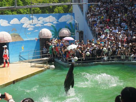 【上海动物园】【图】上海动物园好玩吗 它的地点在哪里_伊秀旅游|yxlady.com