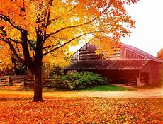 Rustic Country Fall Backgrounds by Fall Autumn Leaves Colorful Barn Rustic Country Rustic Country Fall Backgrounds