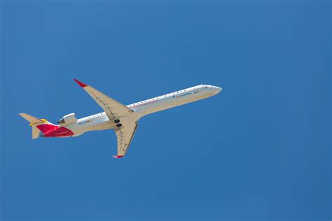 Plane Crazy Shark Tutorial 的图像结果