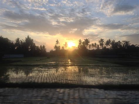 Shader Reflections 的图像结果