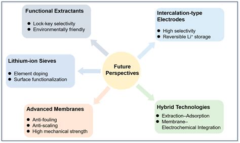 Extraction Technologies for Lithium Resources from Salt Lake Brines ...