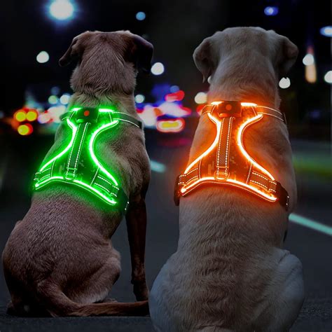 Amazon.com : BiPawTi Light Up Dog Harness No Pull - Lighted Dog Vest ...
