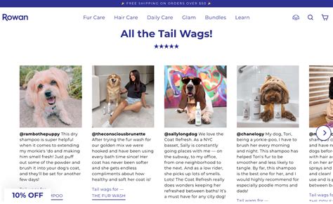 Website Homepage Examples 的图像结果
