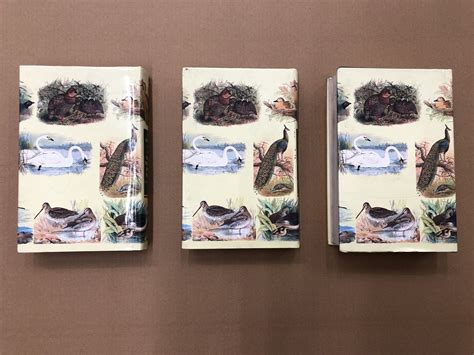 The Game Birds Of India, Pakistan, Bangladesh, Burma & Sri Lanka (Vol ...