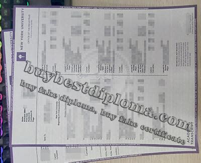 Image result for NYU Transcript