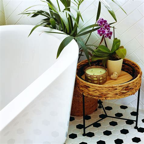 Can you water plants with dehumidifier water? | Ideal Home