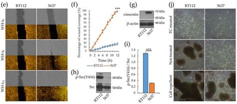 Profiling and Targeting of Energy and Redox Metabolism in Grade 2 ...