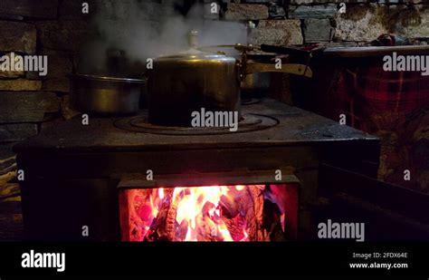 Image result for Cooking On a Log