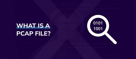 Pcap File 的图像结果