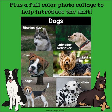 Dogs for 1st Graders Science 的图像结果