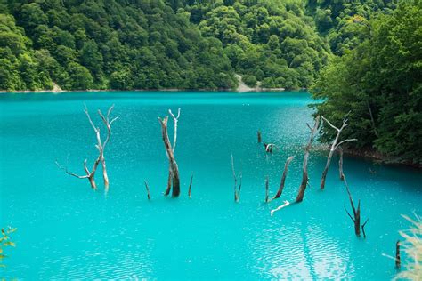 OSHIRAKAWA ONSEN (2026) All You Need to Know BEFORE You Go (with Photos ...