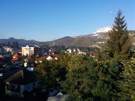 MRDJA APARTMENTS (Kolasin) - Specialty Inn Reviews, Photos, Rate ...