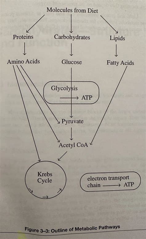 Biochemistry 的图像结果