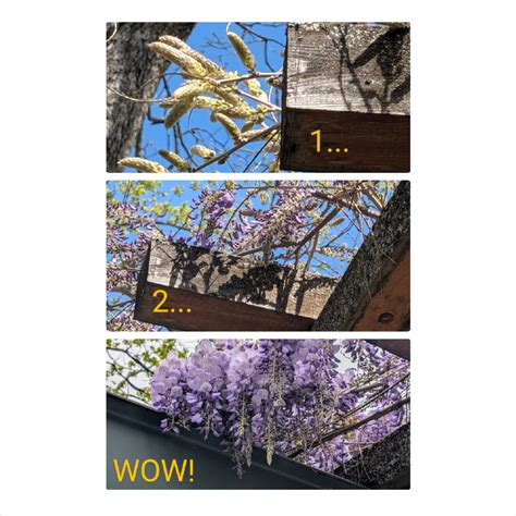 Grizzly Peak Winery (@grizzlypeakwinery) • Instagram photos and videos