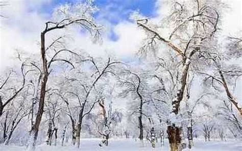 雪花飘飘最美的图片,北方雪花飘飘的图片,大雪纷飞图片_大山谷图库