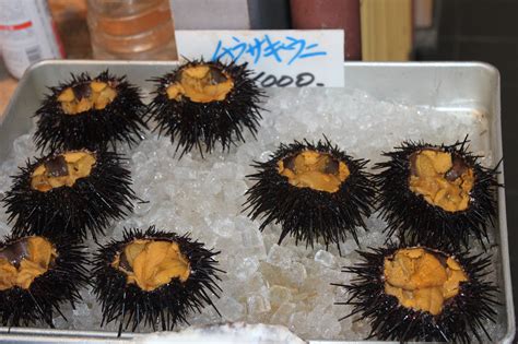 Seaweed Used In Japanese Cuisine Crossword - prntbl ...