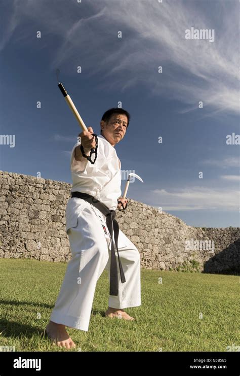 Uechi-Ryu Karate 的图像结果