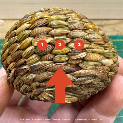 Basket Weaving Techniques & Instructions | Matt Tommey