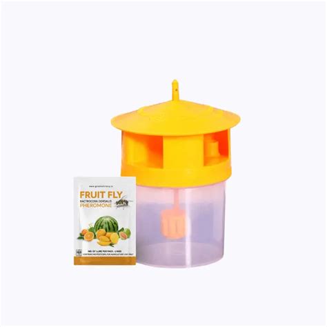 Buy Green Victory Fruit Fly Pheromone (Bactrocera Dorsalis) + Trap – UV ...