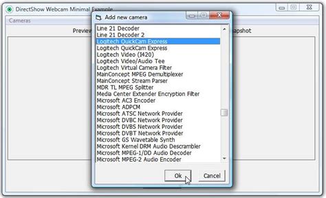 DirectShow VB.NET Example 的图像结果